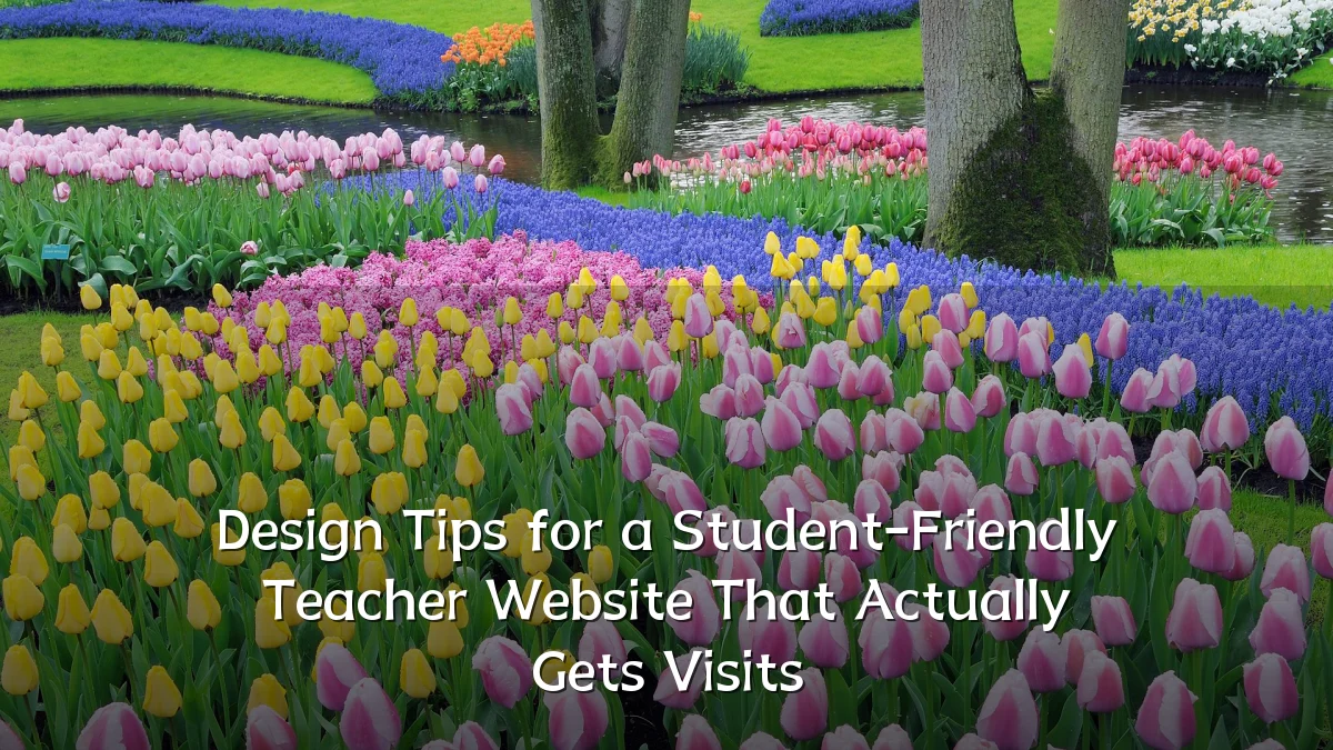 Design Tips for a Student-Friendly Teacher Website That Actually Gets Visits