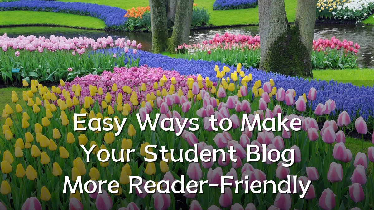 Easy Ways to Make Your Student Blog More Reader-Friendly