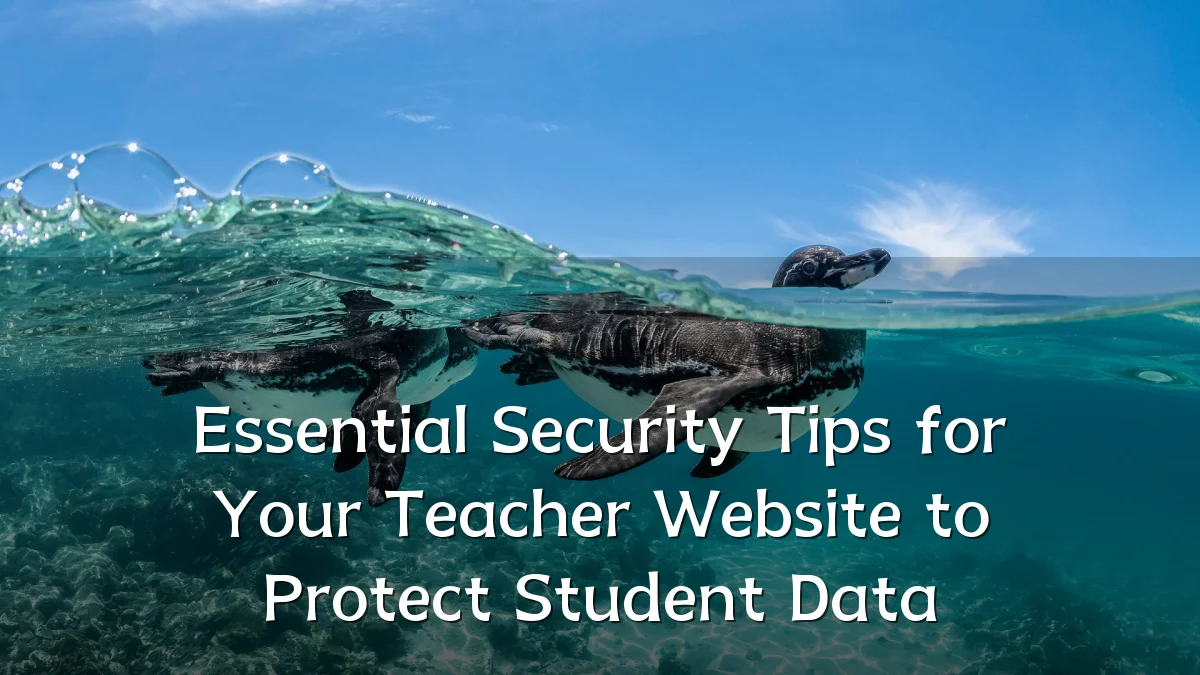 Essential Security Tips for Your Teacher Website to Protect Student Data