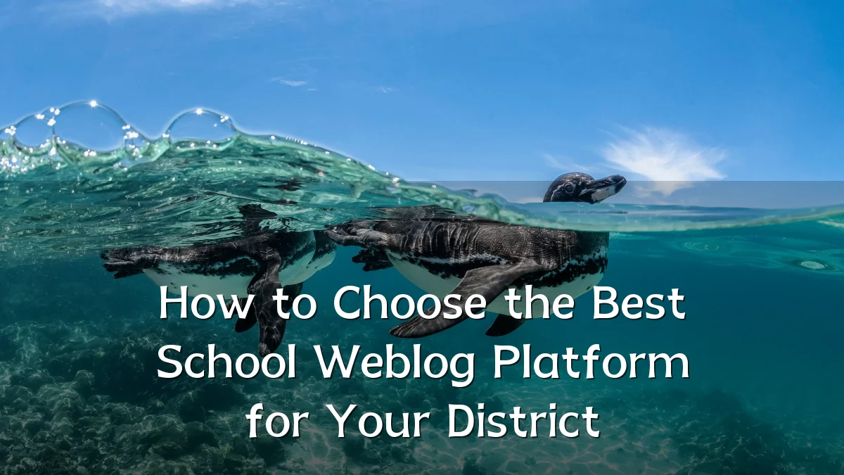 How to Choose the Best School Weblog Platform for Your District