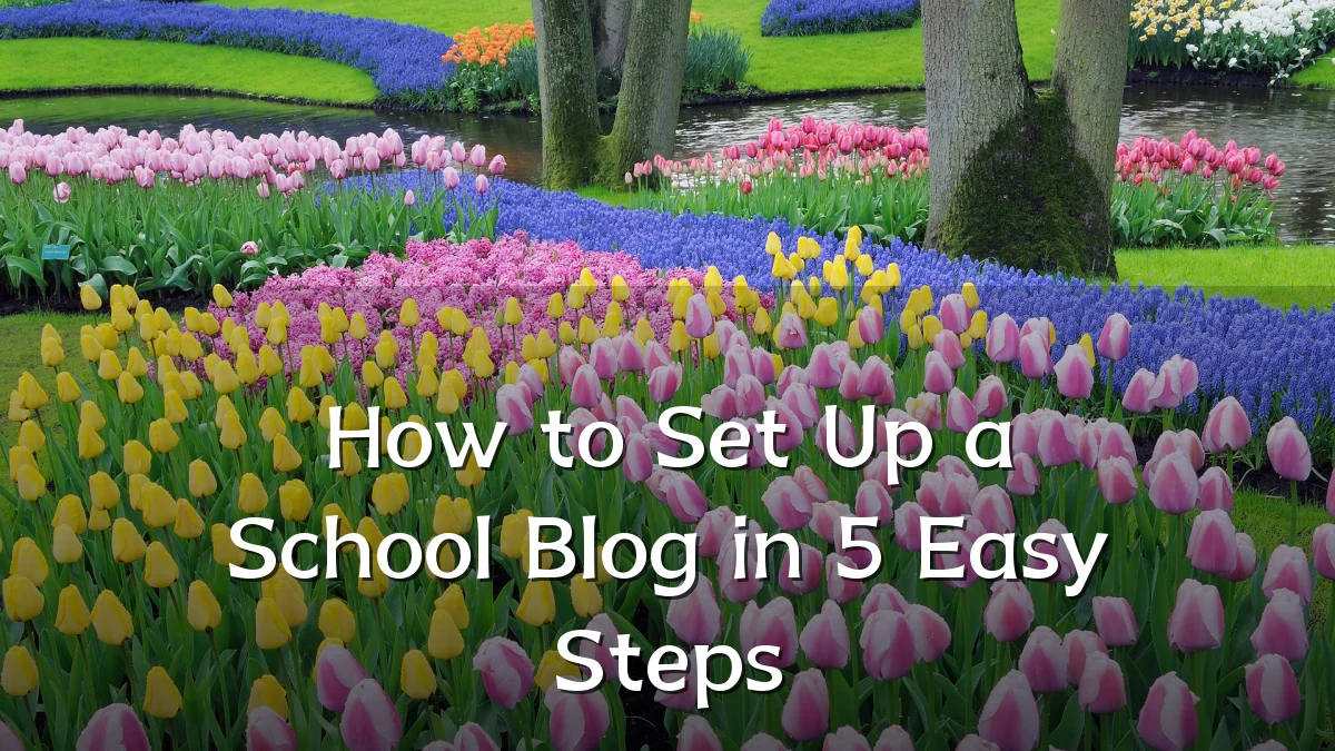 How to Set Up a School Blog in 5 Easy Steps