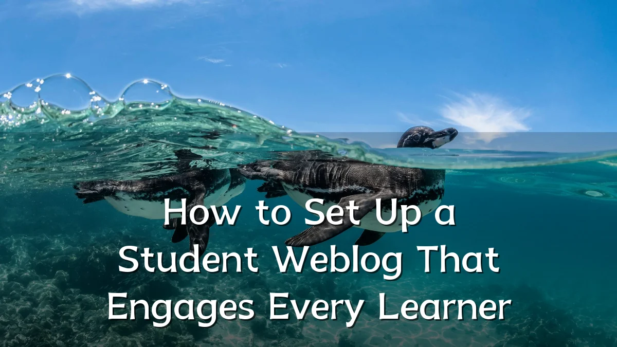 How to Set Up a Student Weblog That Engages Every Learner
