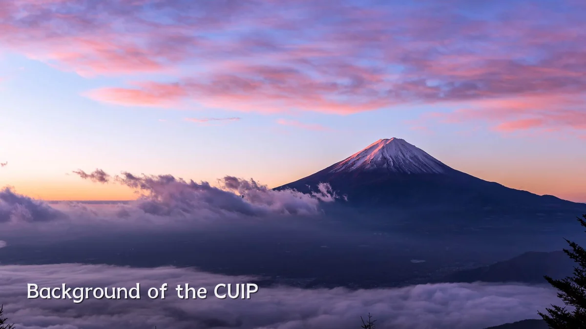 Background of the CUIP