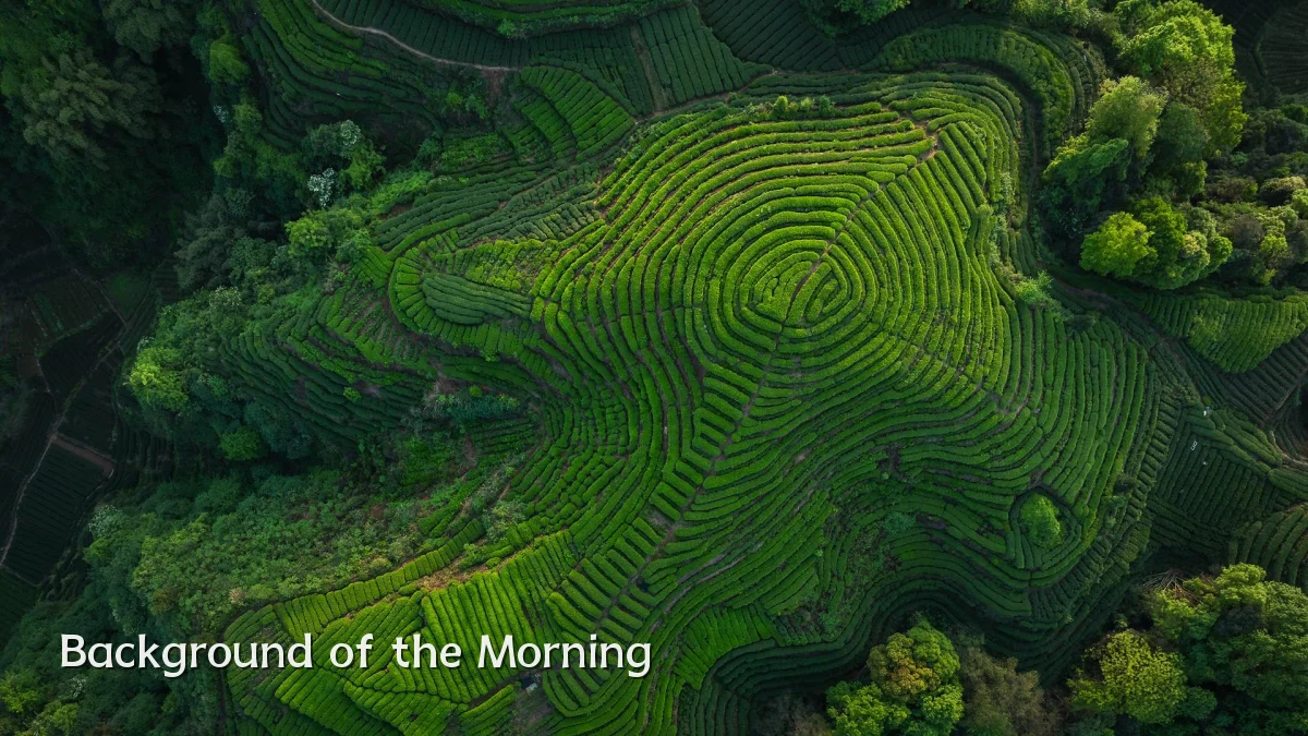 Background of the Morning