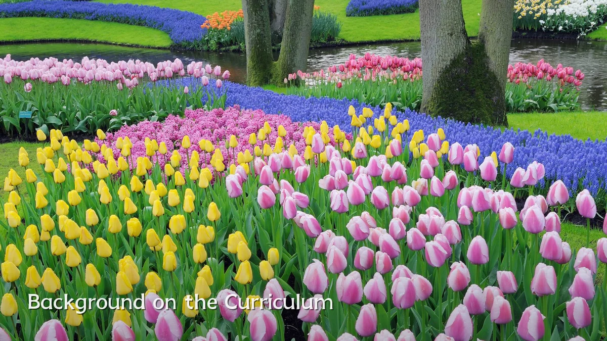Background on the Curriculum
