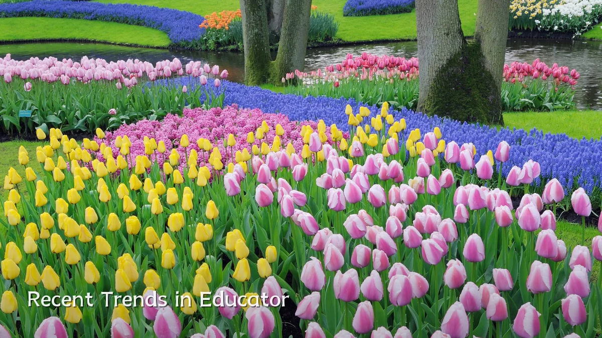 Recent Trends in Educator