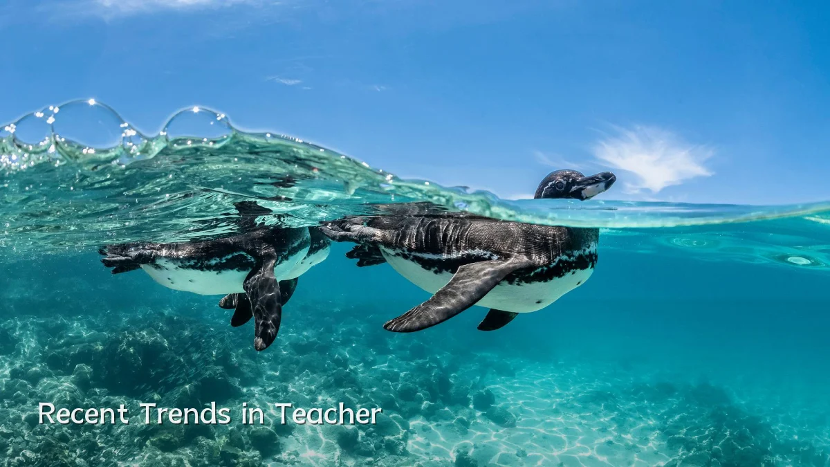 Recent Trends in Teacher