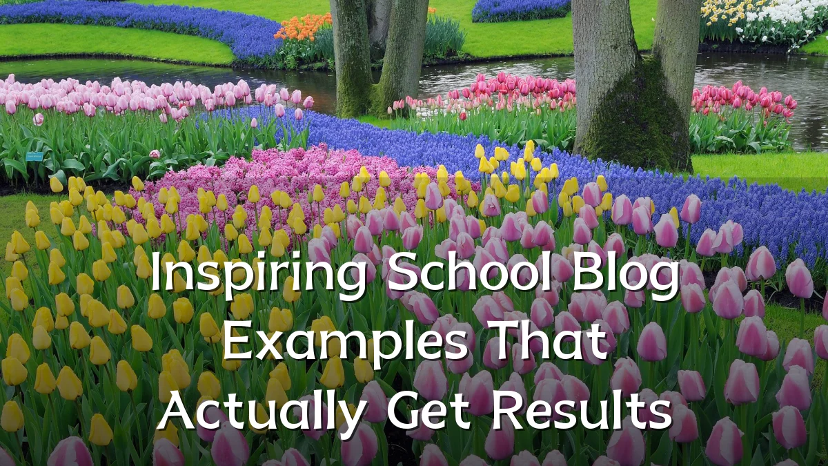 Inspiring School Blog Examples That Actually Get Results