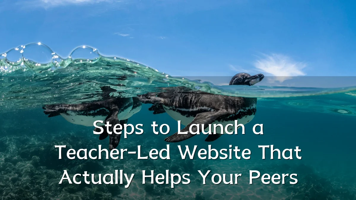 Steps to Launch a Teacher-Led Website That Actually Helps Your Peers