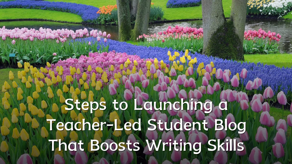 Steps to Launching a Teacher-Led Student Blog That Boosts Writing Skills