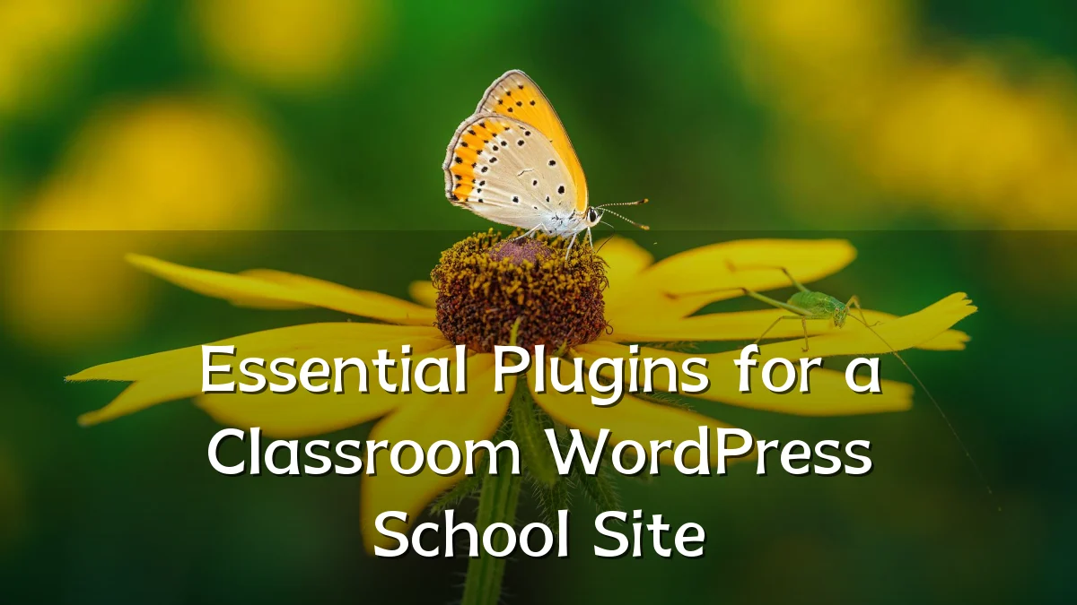 Essential Plugins for a Classroom WordPress School Site