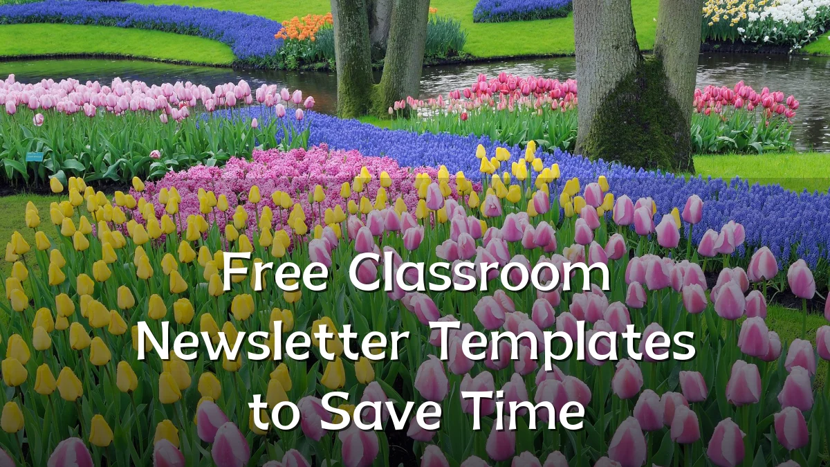 Free Classroom Newsletter Templates to Save Time