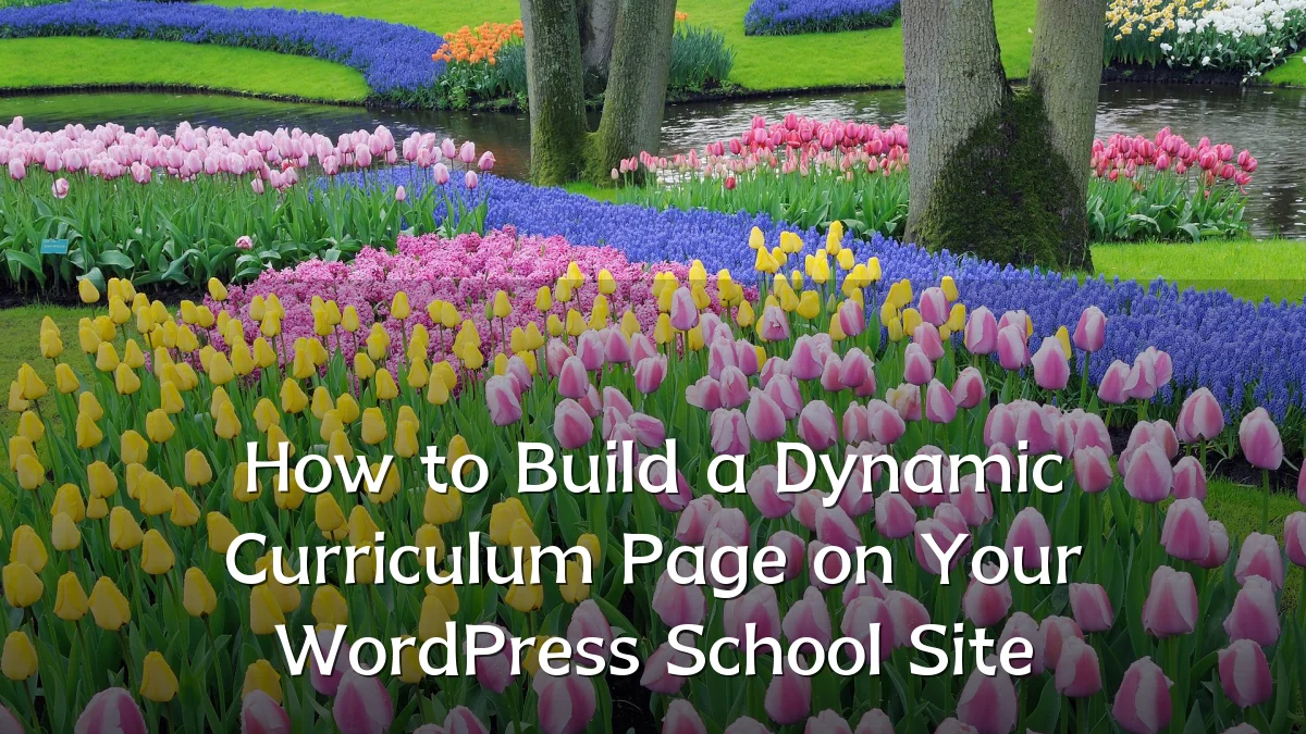 How to Build a Dynamic Curriculum Page on Your WordPress School Site