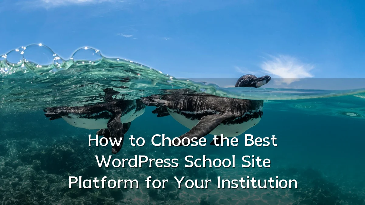 How to Choose the Best WordPress School Site Platform for Your Institution