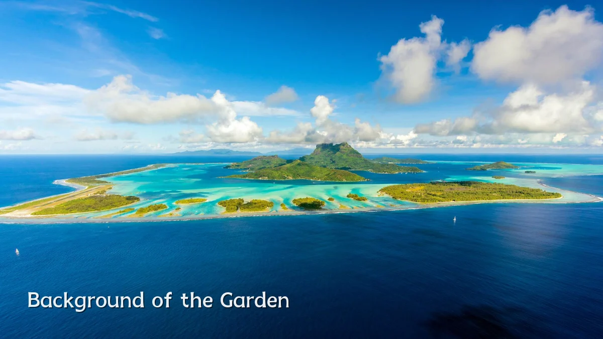 Background of the Garden