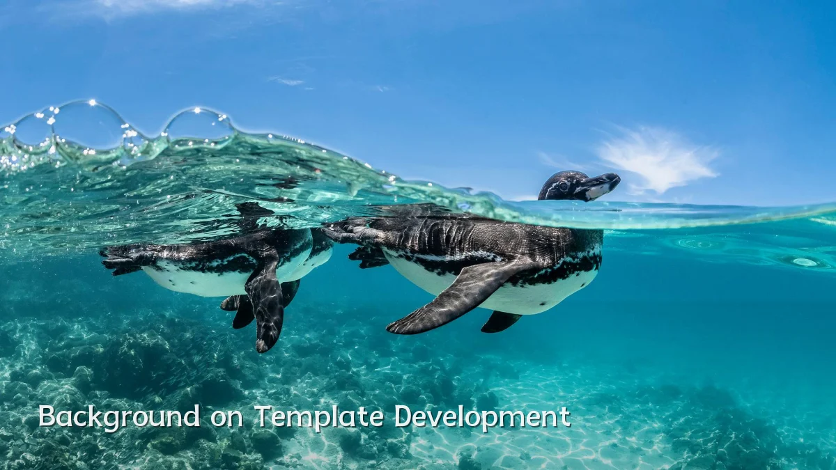 Background on Template Development