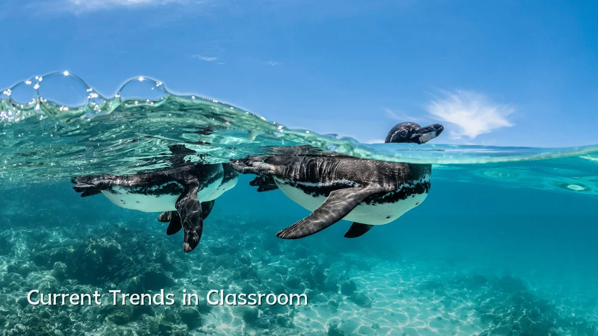 Current Trends in Classroom