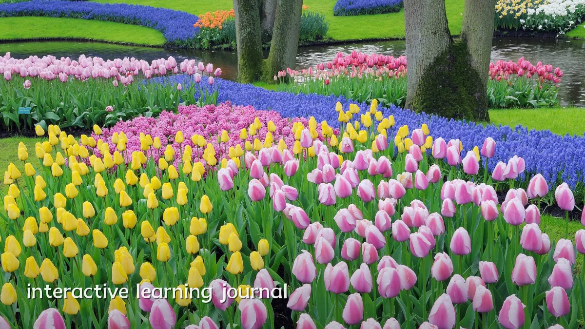 interactive learning journal