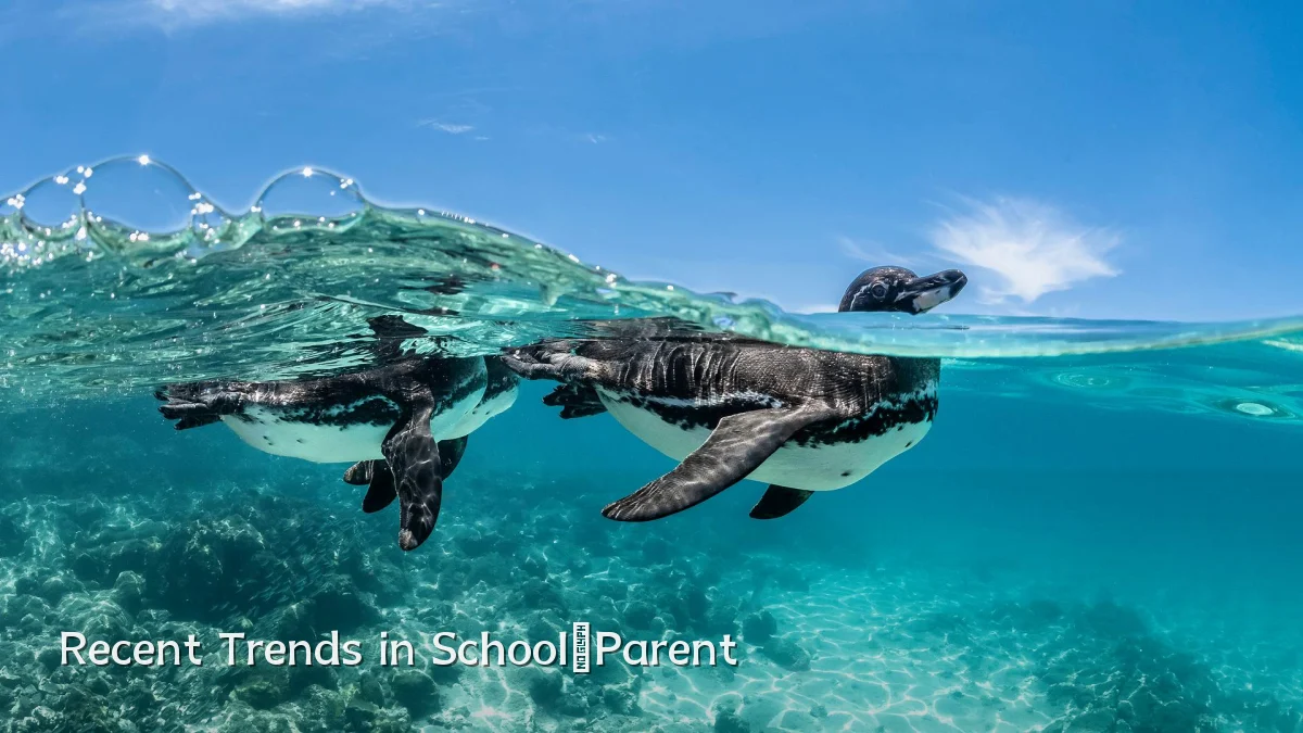 Recent Trends in School‑Parent