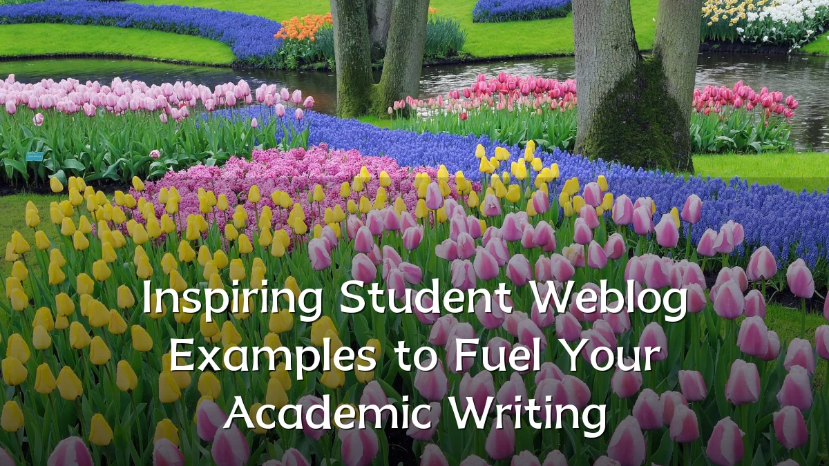Inspiring Student Weblog Examples to Fuel Your Academic Writing