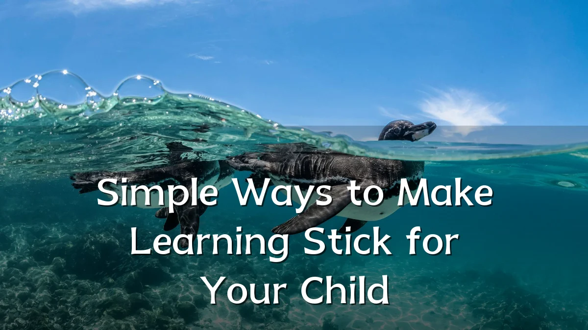 Simple Ways to Make Learning Stick for Your Child