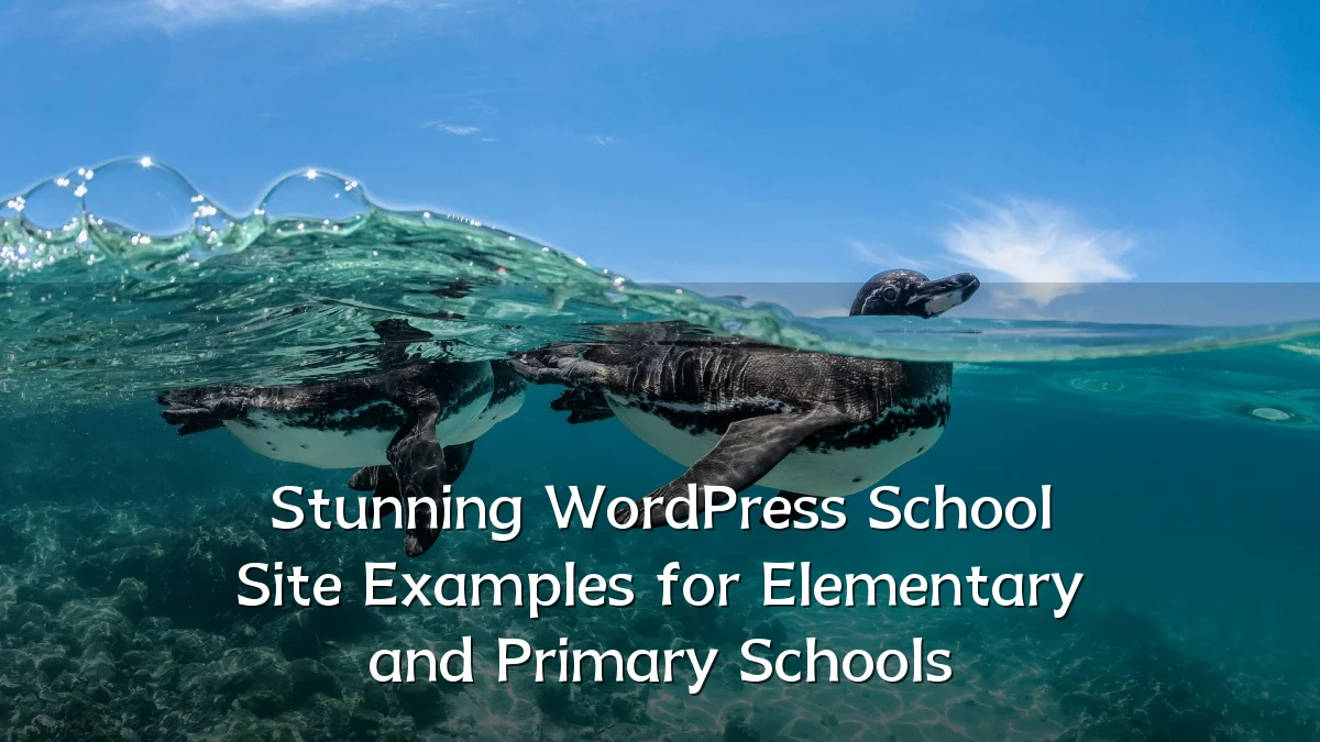 Stunning WordPress School Site Examples for Elementary and Primary Schools