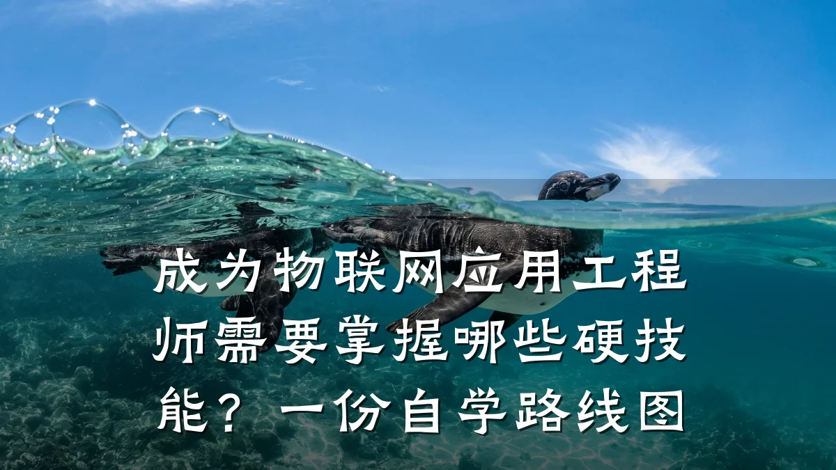 成为物联网应用工程师需要掌握哪些硬技能?一份自学路线图