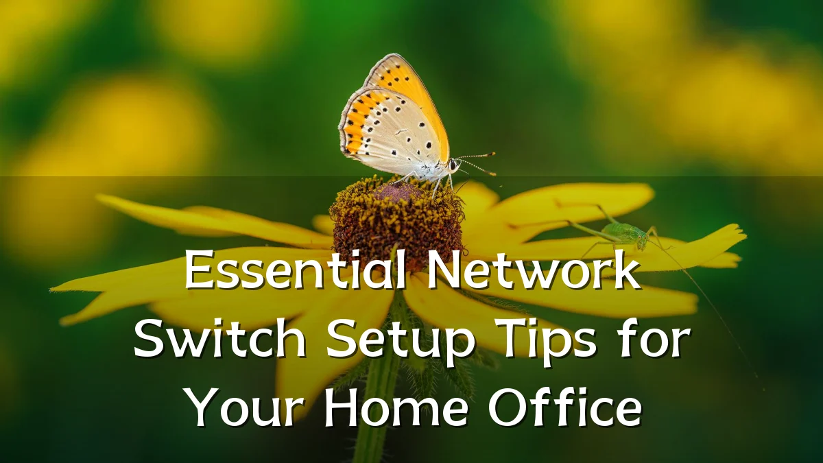 Essential Network Switch Setup Tips for Your Home Office