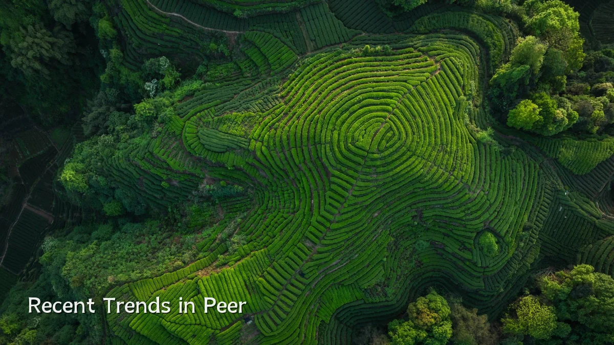 Recent Trends in Peer